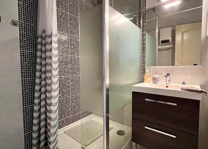 Apartament Petit Capucin *